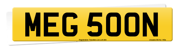Registration number MEG 500N